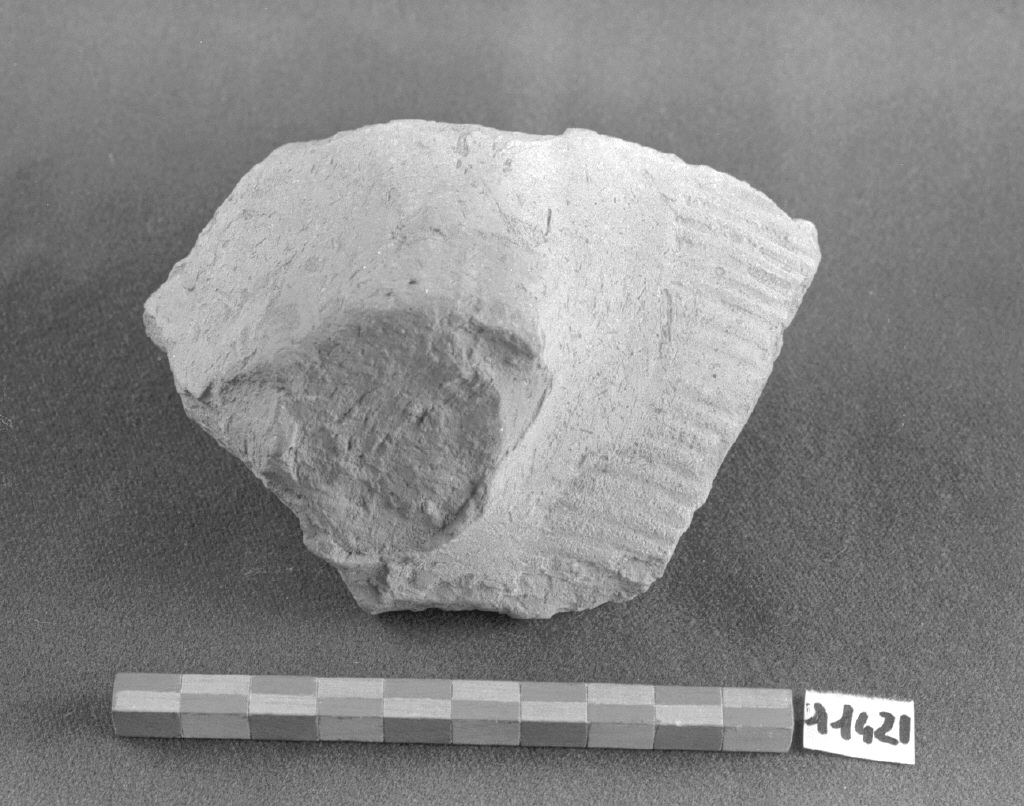 motivo decorativo (anfora, frammento) - ambito mediterraneo (sec. XIII)