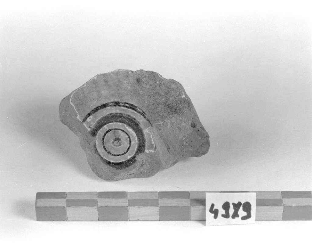 motivi decorativi (piatto, frammento) - bottega bizantina (fine/inizio secc. XII/ XIII)