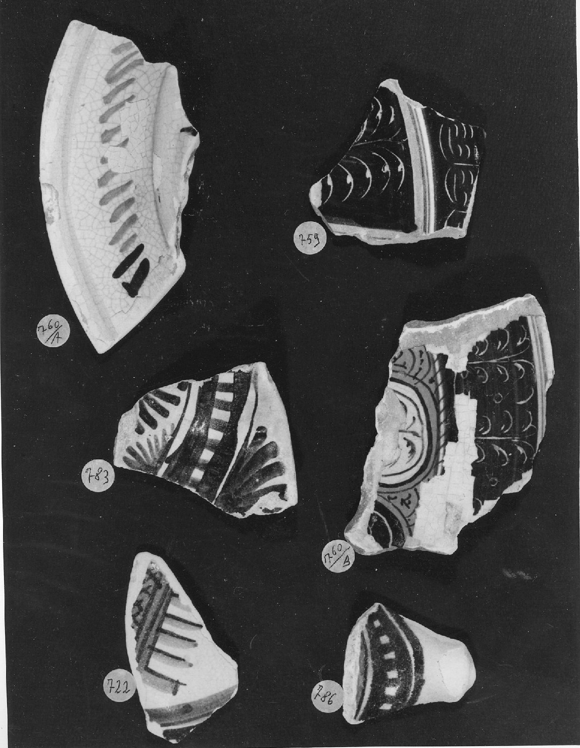 motivi decorativi (piatto, frammento) - ambito veneto (secc. XV/ XVI)