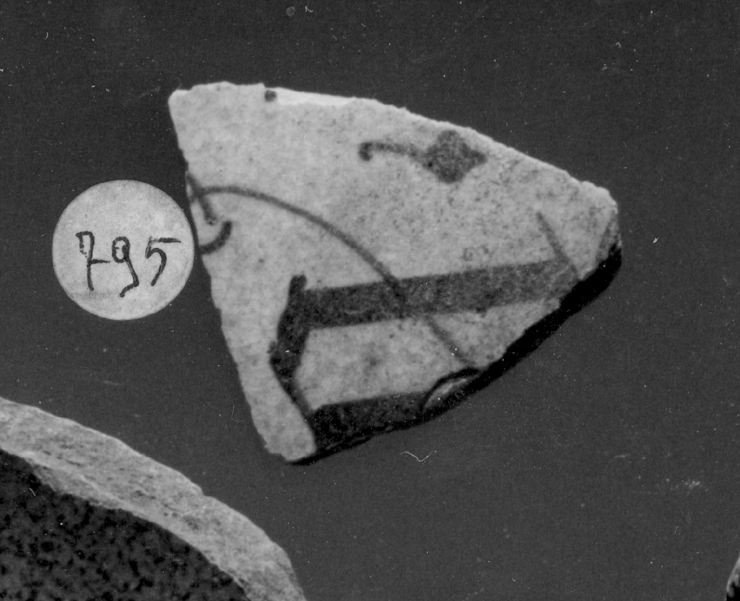 iscrizione (piatto, frammento) - ambito veneto (secc. XV/ XVI)