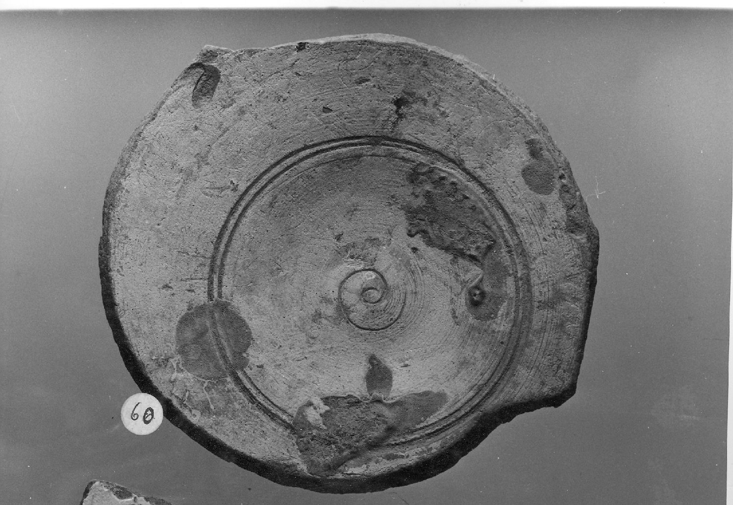 piatto, frammento - ambito veneto (secc. XV/ XVI)