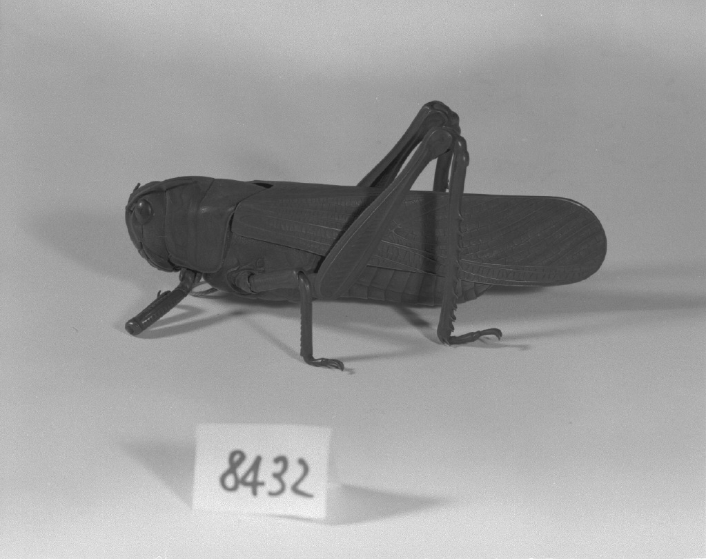 animali (bruciaprofumi, opera isolata) - ambito giapponese (secc. XVII/ XIX)