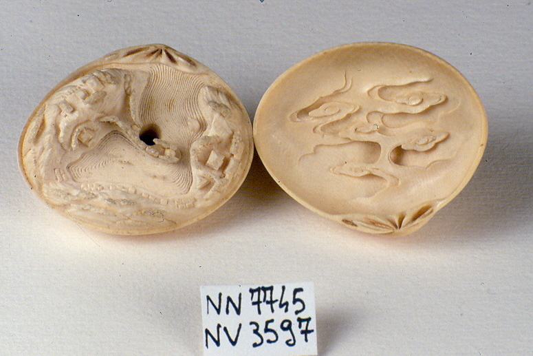 conchiglia (fermaglio, elemento d'insieme) di Kaigyokusai Masatsugu (seconda metà sec. XIX)