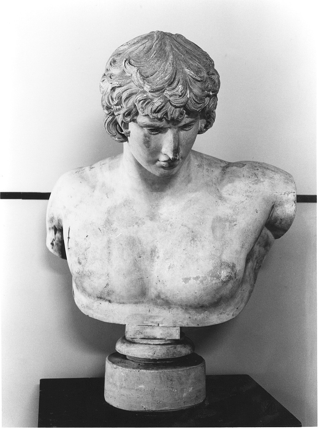 Antinoo, busto di uomo (busto, opera isolata) - ambito romano (sec. II)
