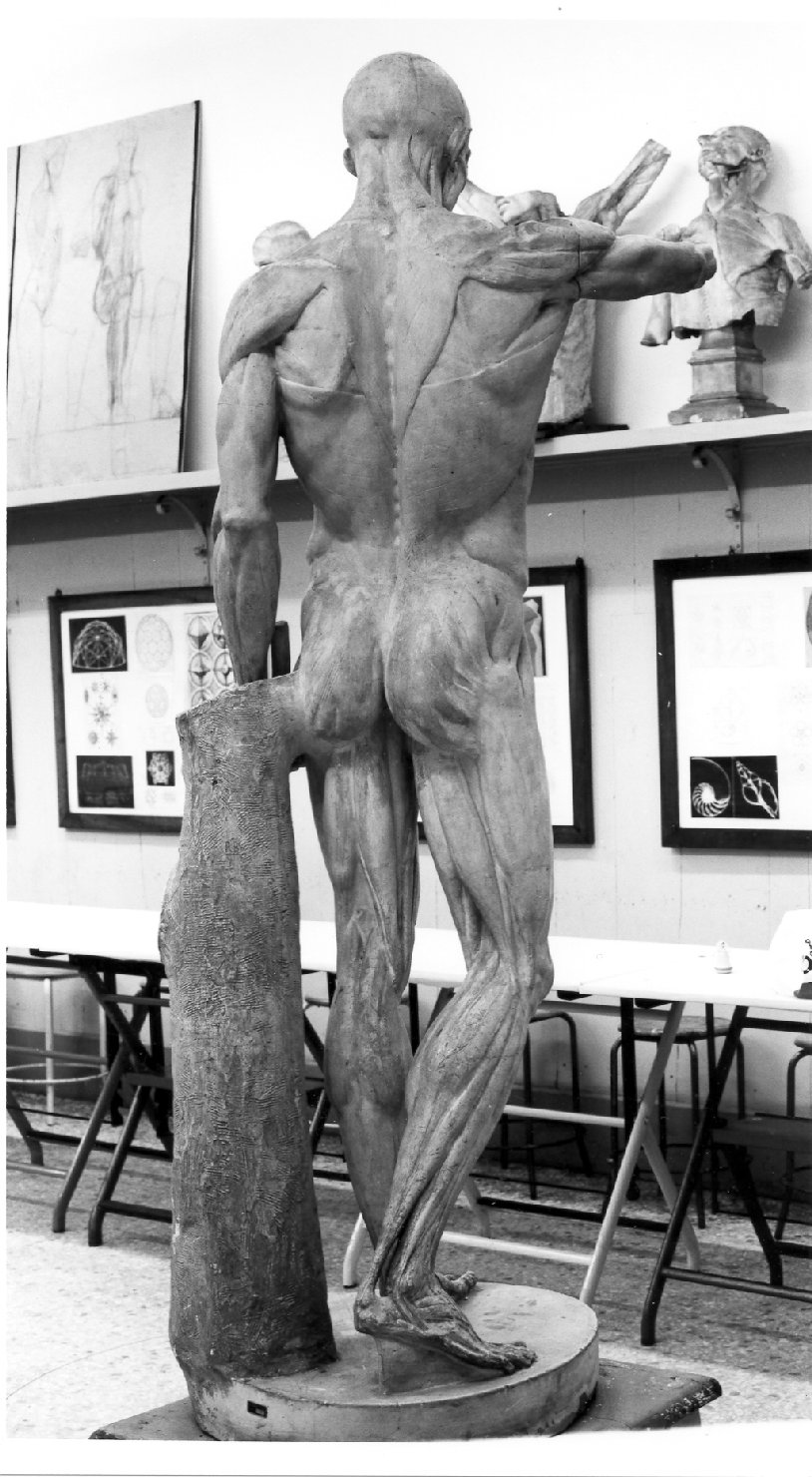 anatomia maschile, figura maschile (statua, opera isolata) di Houdon Jean-Antoine (secc. XVIII/ XIX)