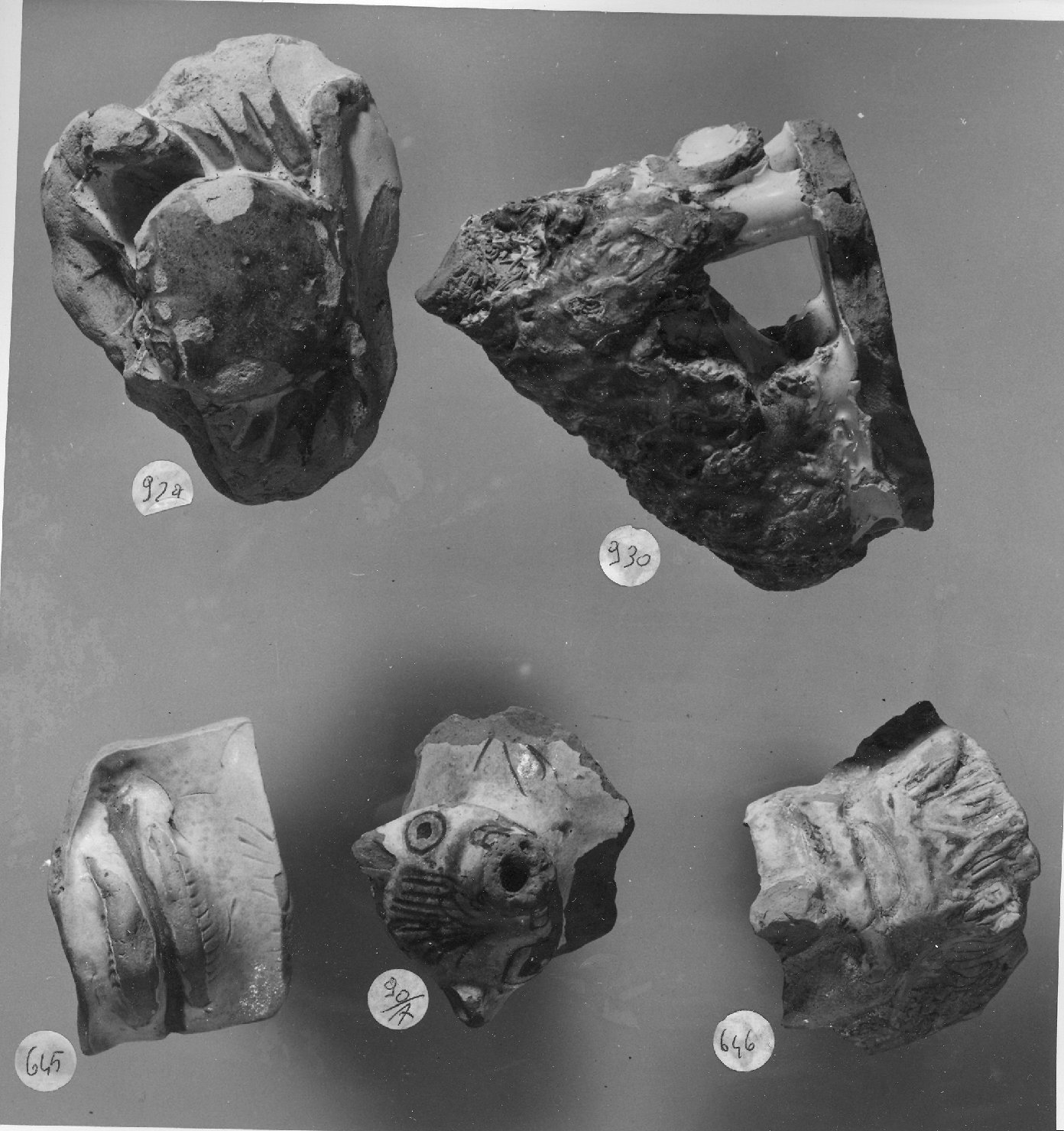 scaldino, frammento - ambito veneto (secc. XV/ XVI)