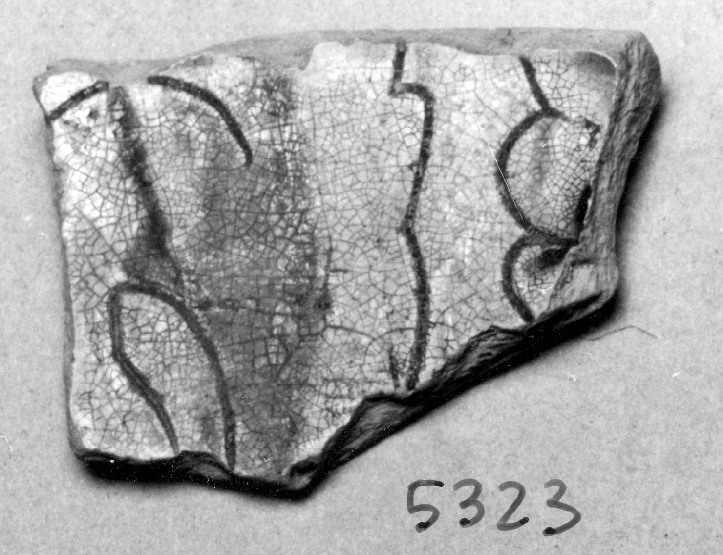 motivi decorativi vegetali stilizzati (bacino, frammento) - ambito veneto (prima metà sec. XV)