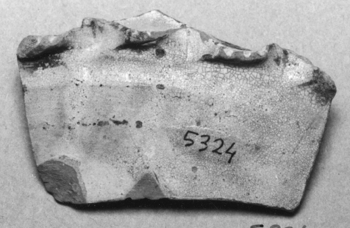 motivi decorativi a medaglioni (bacino, frammento) - ambito veneto (prima metà sec. XV)