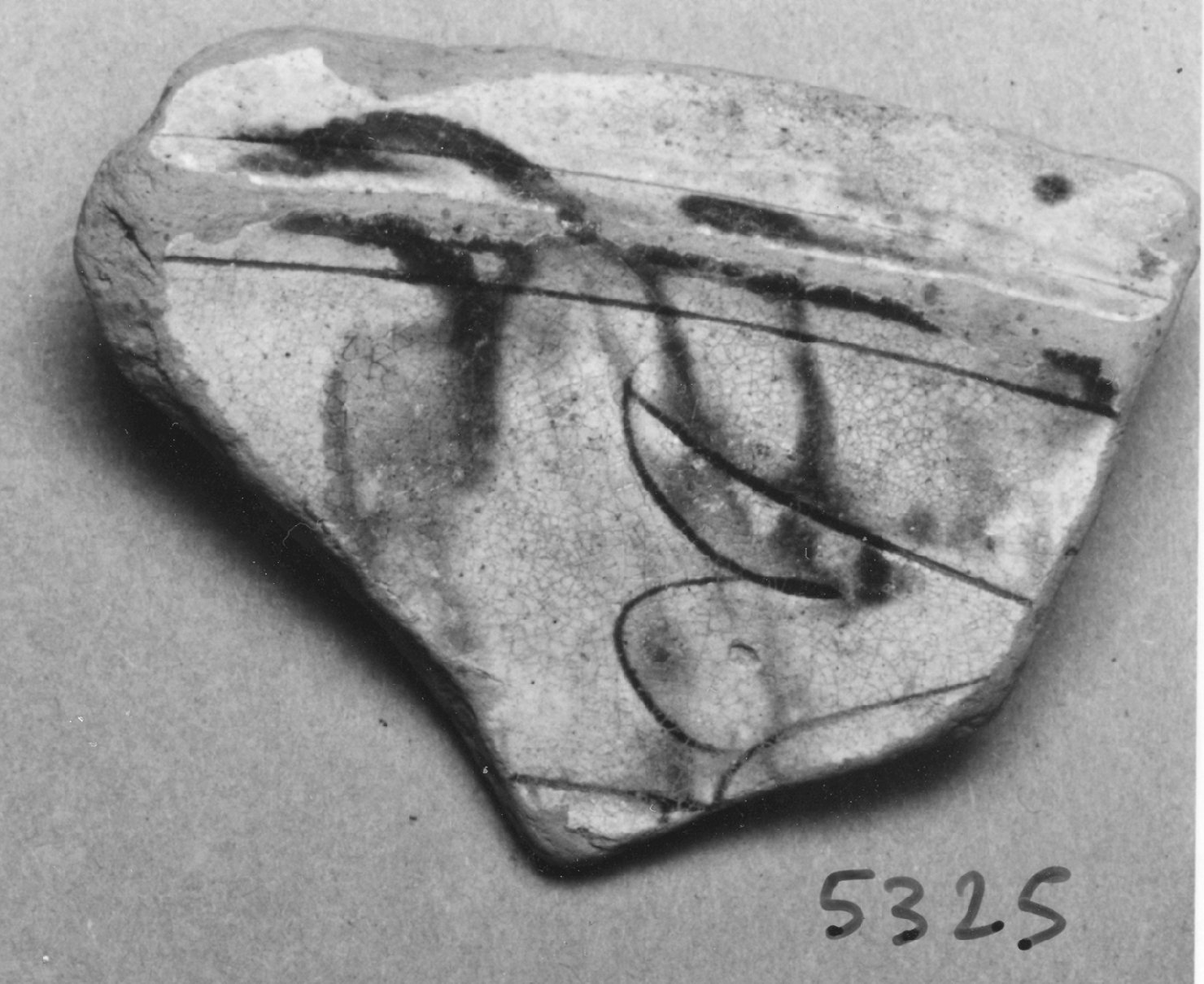 motivi decorativi vegetali a palmette (bacino, frammento) - ambito veneto (prima metà sec. XV)