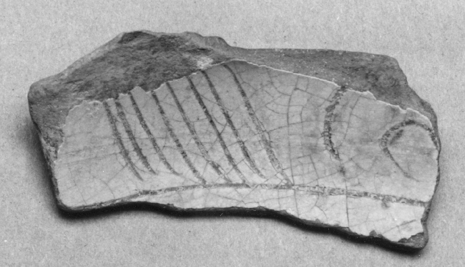 motivi decorativi geometrici (bacino, frammento) - ambito veneto (seconda metà sec. XV)