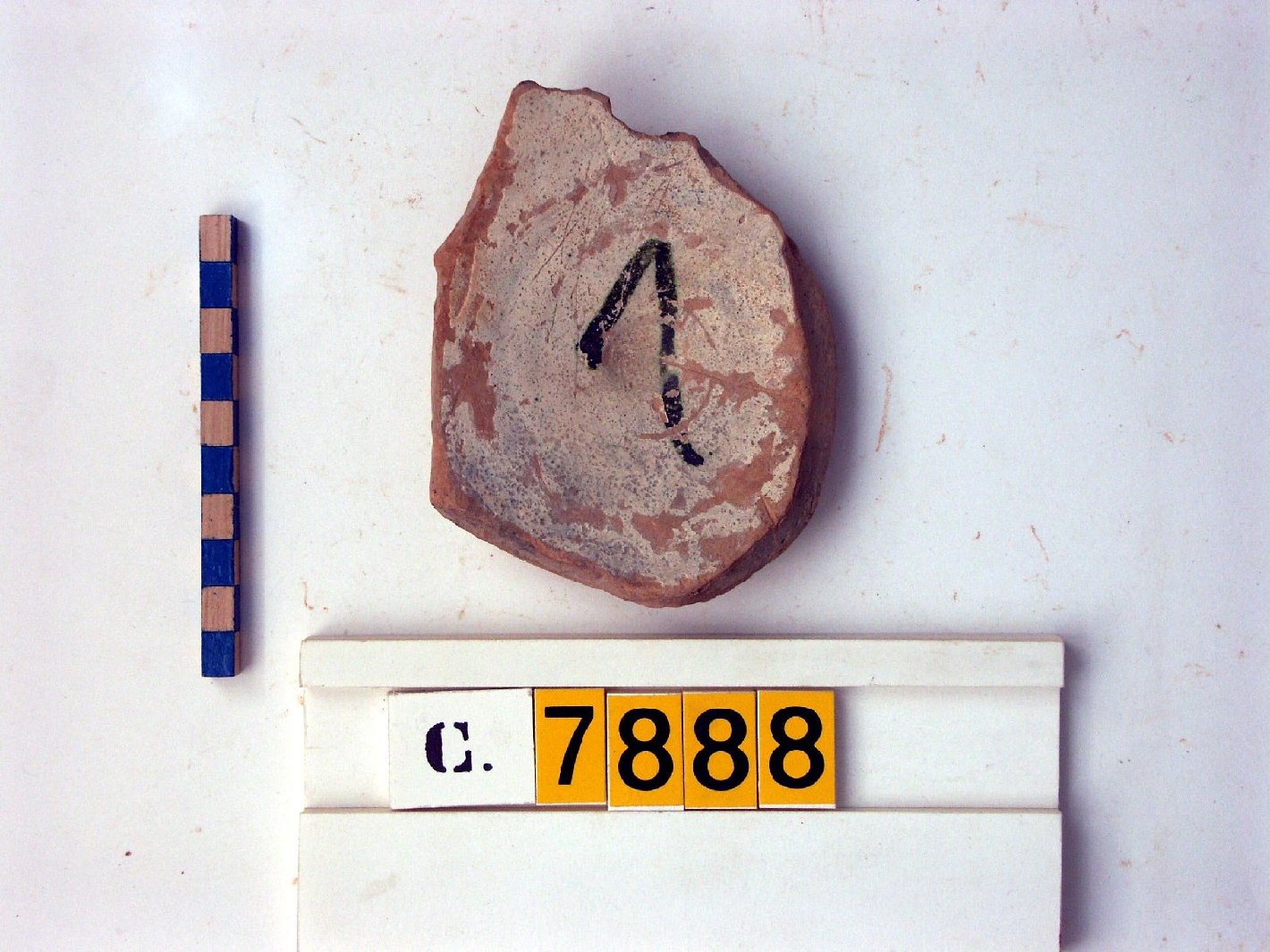 motivi decorativi (piatto, frammento) - ambito veneto (secc. XVI/ XVII)