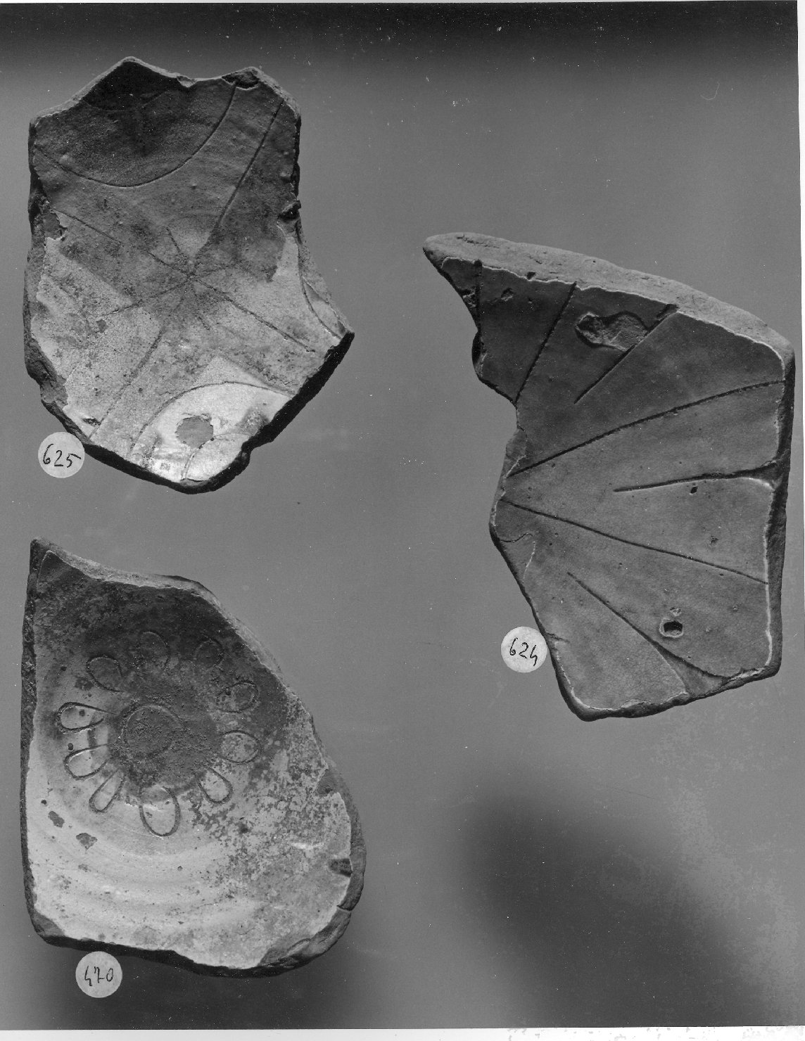 motivi decorativi geometrici e vegetali stilizzati (piatto, frammento) - ambito veneziano (secc. XVI/ XVII)