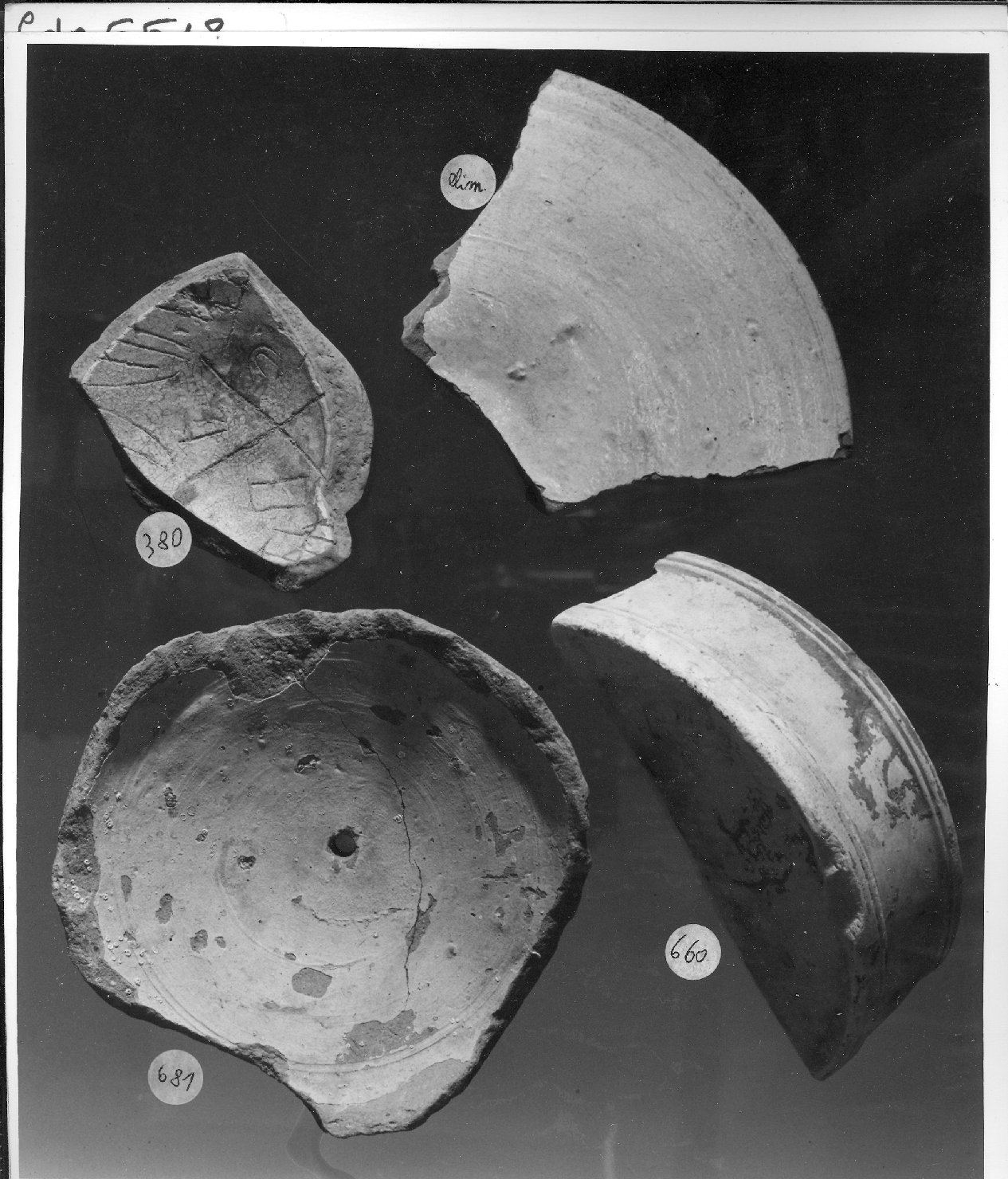 motivi decorativi (catino, frammento) - ambito veneziano (secc. XVI/ XVII)