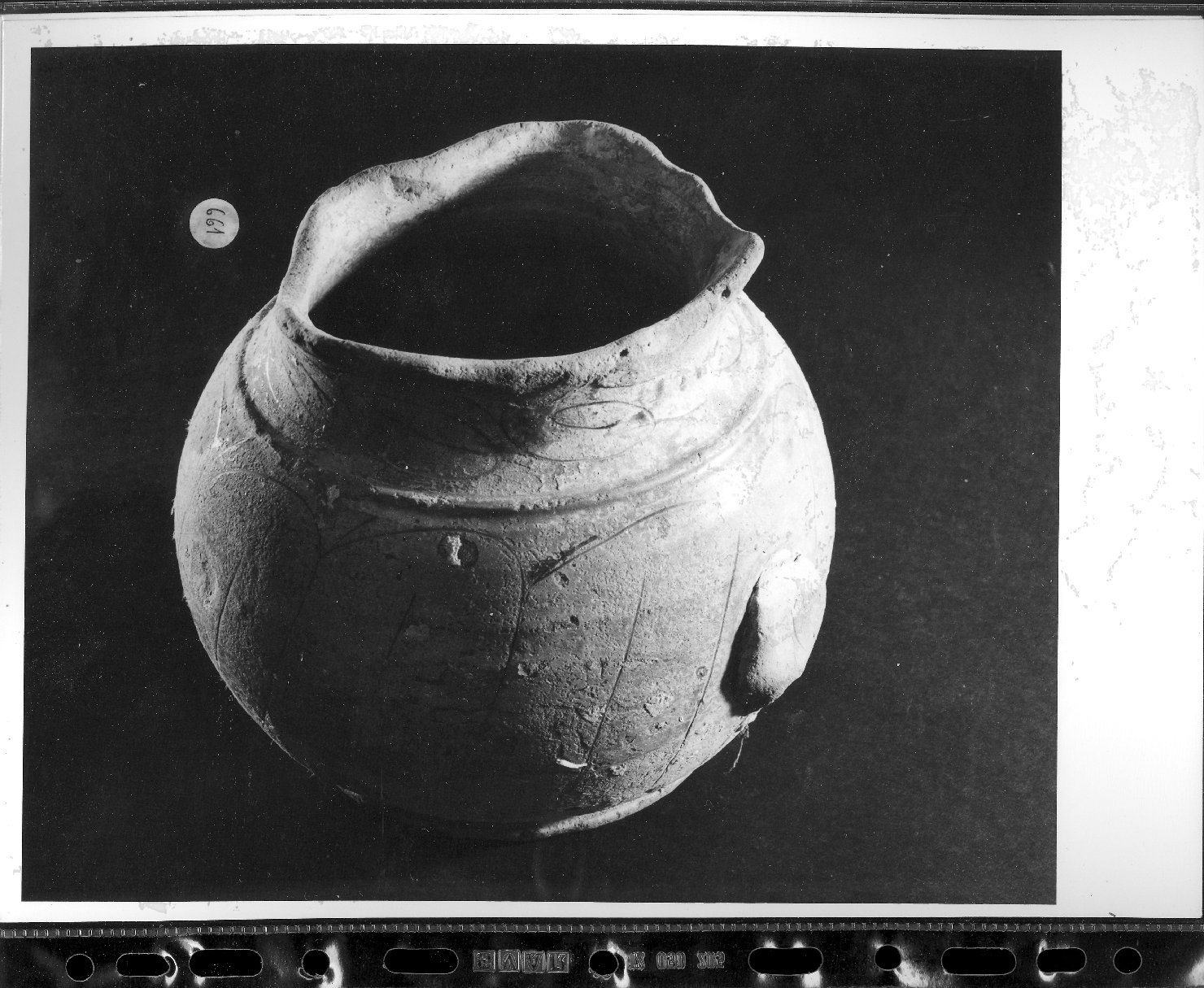 motivi decorativi geometrici e vegetali stilizzati (boccale, frammento) - ambito veneziano (secc. XVI/ XVII)