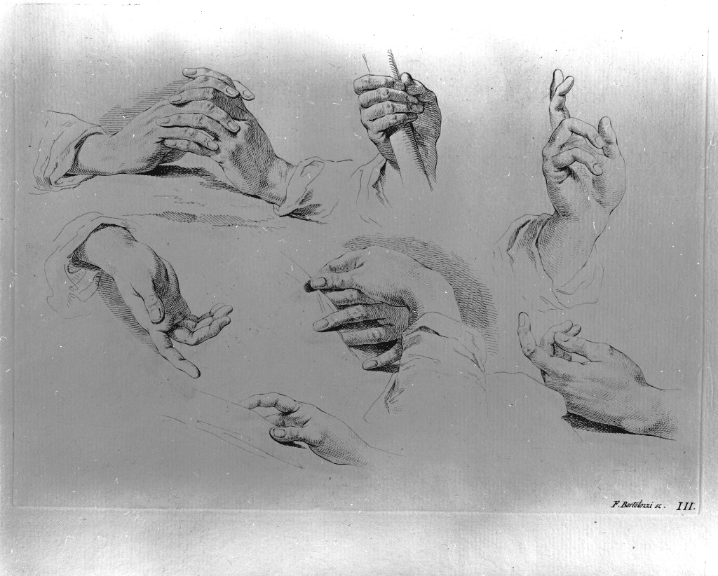studio di parti anatomiche (stampa) di Bartolozzi Francesco, Piazzetta Giovanni Battista (sec. XVIII)