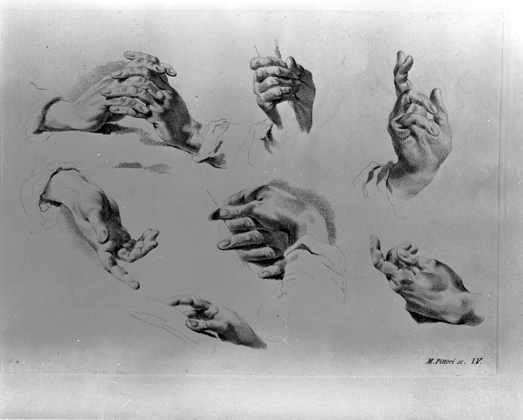 studio di parti anatomiche (stampa) di Pitteri Marco Alvise, Piazzetta Giovanni Battista (sec. XVIII)