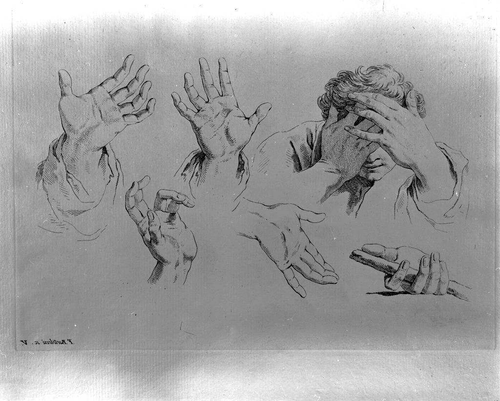 studio di parti anatomiche (stampa) di Bartolozzi Francesco, Piazzetta Giovanni Battista (sec. XVIII)