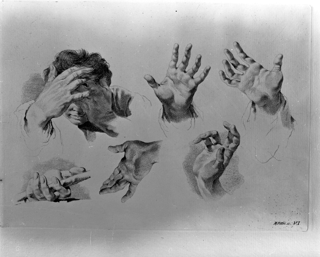 studio di parti anatomiche (stampa) di Pitteri Marco Alvise, Piazzetta Giovanni Battista (sec. XVIII)