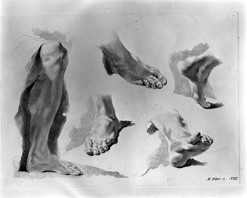 studio di parti anatomiche (stampa) di Pitteri Marco Alvise, Piazzetta Giovanni Battista (sec. XVIII)