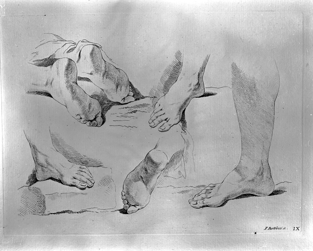 studio di parti anatomiche (stampa) di Bartolozzi Francesco, Piazzetta Giovanni Battista (sec. XVIII)