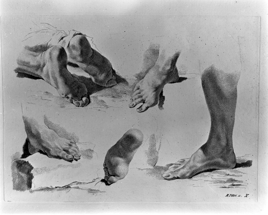 studio di parti anatomiche (stampa) di Pitteri Marco Alvise, Piazzetta Giovanni Battista (sec. XVIII)