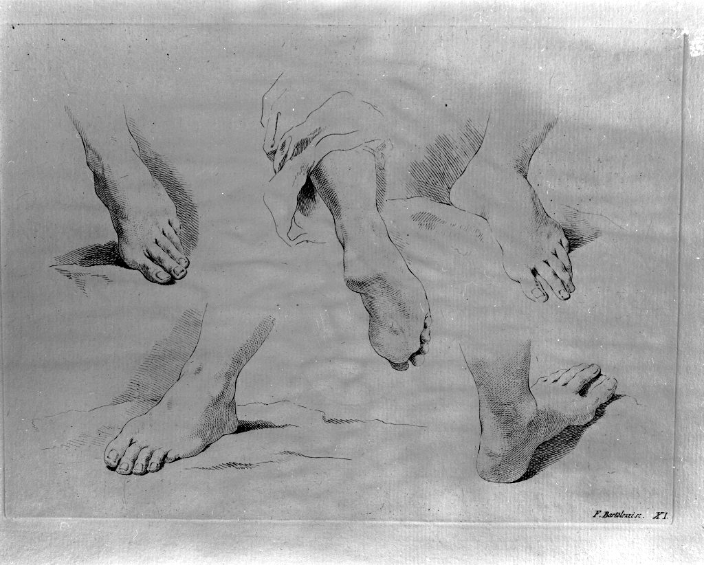 studio di parti anatomiche (stampa) di Bartolozzi Francesco, Piazzetta Giovanni Battista (sec. XVIII)