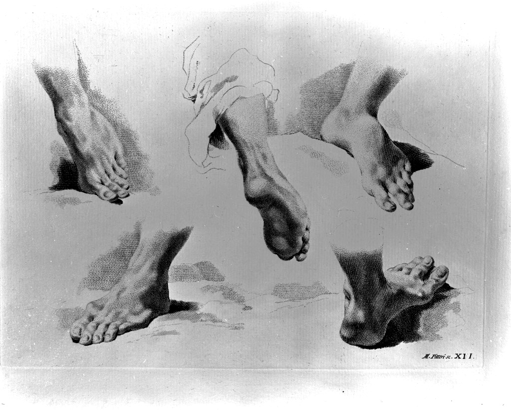 studio di parti anatomiche (stampa) di Pitteri Marco Alvise, Piazzetta Giovanni Battista (sec. XVIII)