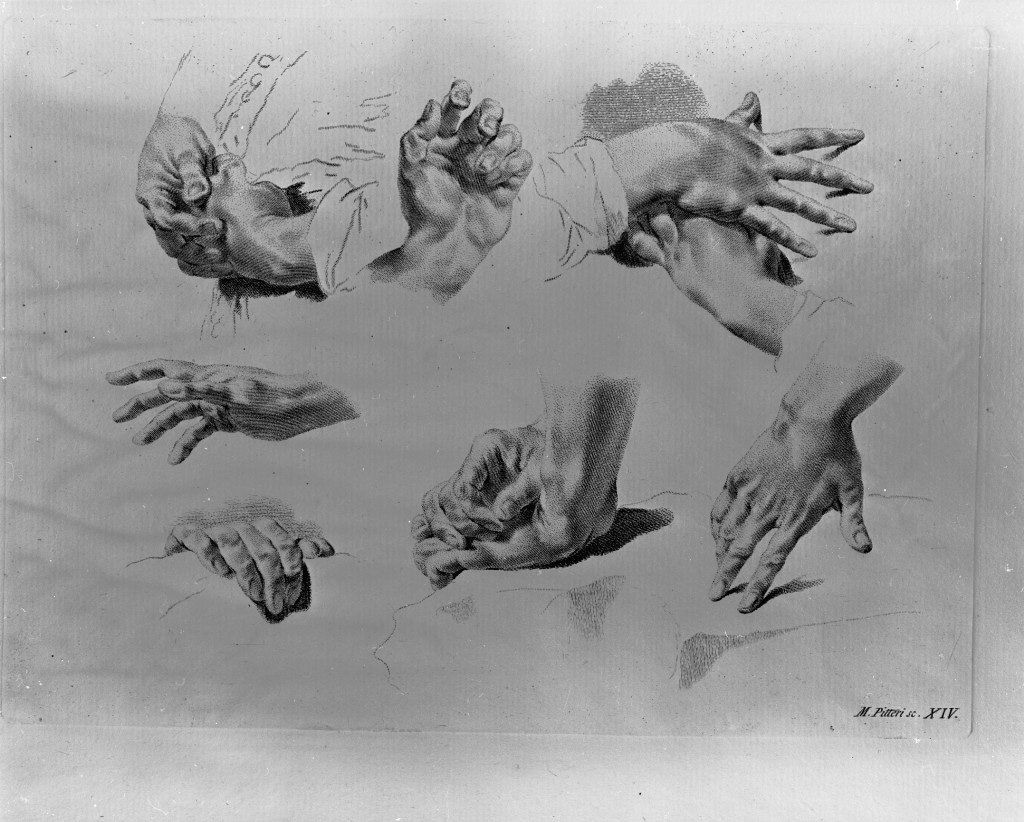 studio di parti anatomiche (stampa) di Pitteri Marco Alvise, Piazzetta Giovanni Battista (sec. XVIII)