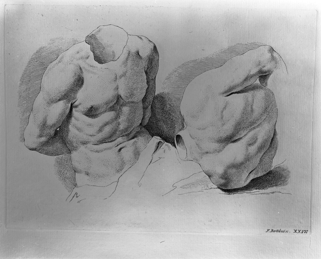 studio di parti anatomiche (stampa) di Bartolozzi Francesco, Piazzetta Giovanni Battista (sec. XVIII)