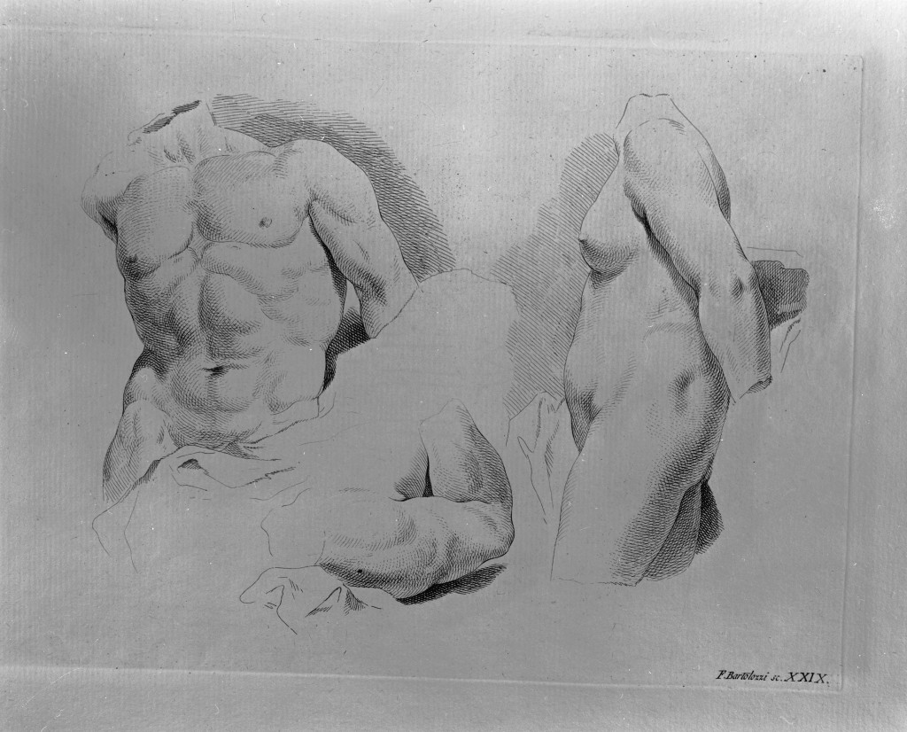studio di parti anatomiche (stampa) di Bartolozzi Francesco, Piazzetta Giovanni Battista (sec. XVIII)