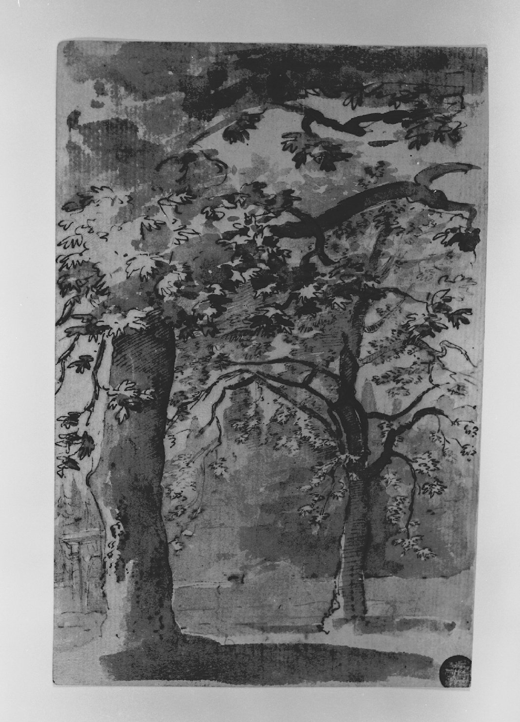 paesaggio con alberi (disegno, elemento d'insieme) - ambito francese (sec. XVIII)