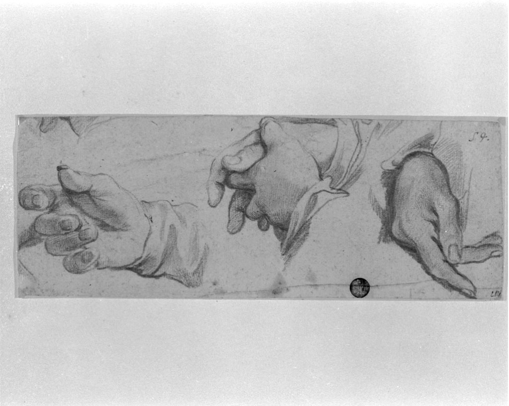 studio di parti anatomiche (disegno, opera isolata) di Carracci Annibale (secc. XVI/ XVII)