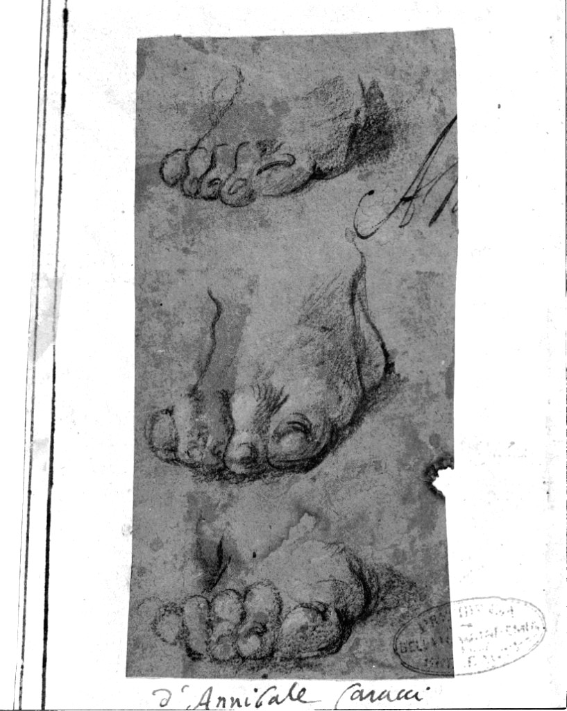studio di parti anatomiche (disegno, opera isolata) di Faccini Pietro (attribuito) (secc. XVI/ XVII)