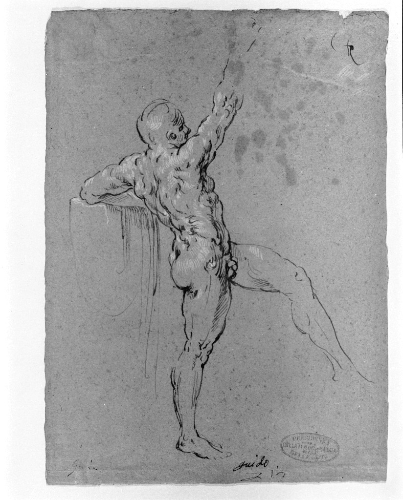 giovane nudo (disegno, opera isolata) di Reni Guido (attribuito) (secc. XVI/ XVII)