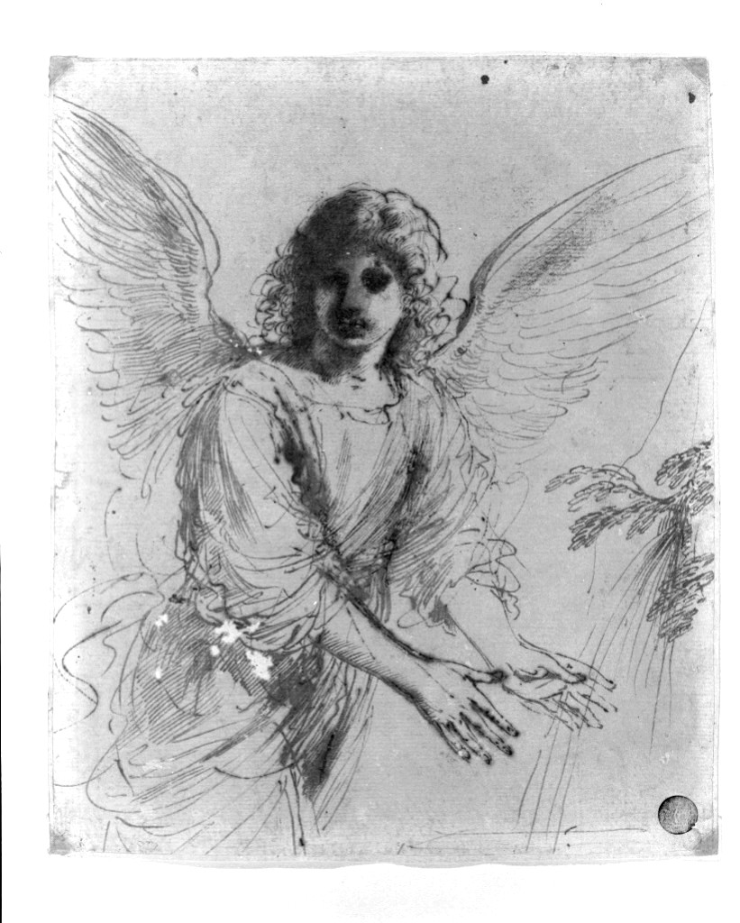 angelo (disegno, opera isolata) di Barbieri Giovan Francesco detto Guercino (secc. XVI/ XVII)
