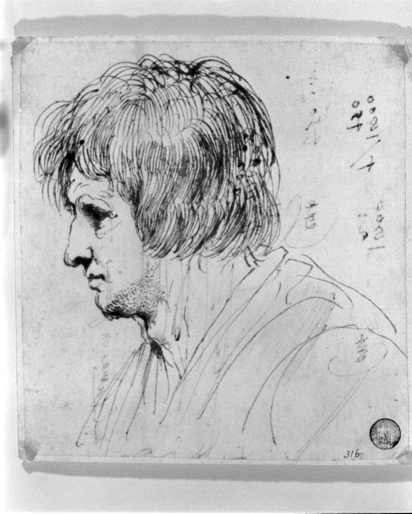 testa d'uomo di profilo (disegno, opera isolata) di Barbieri Giovan Francesco detto Guercino (secc. XVI/ XVII)