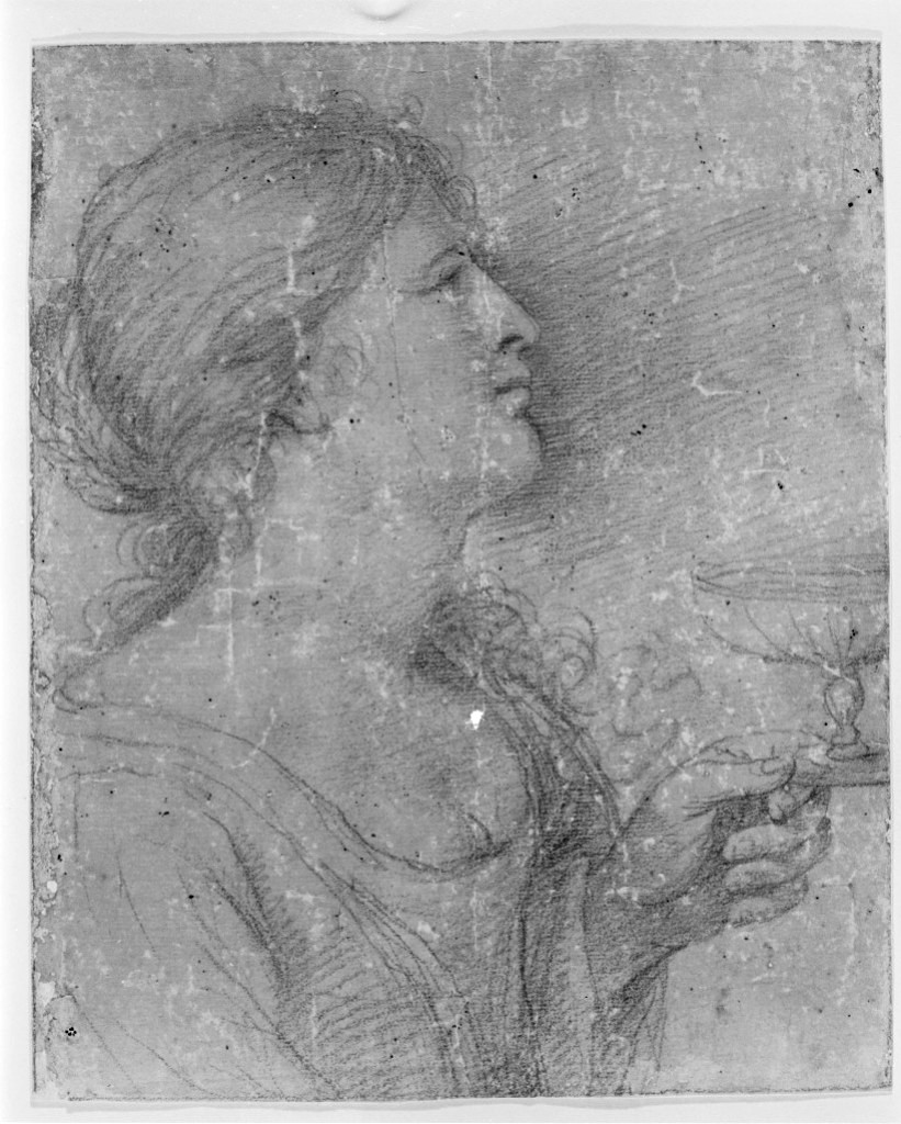 busto femminile (disegno, opera isolata) di Barbieri Giovan Francesco detto Guercino (scuola) (secc. XVI/ XVII)