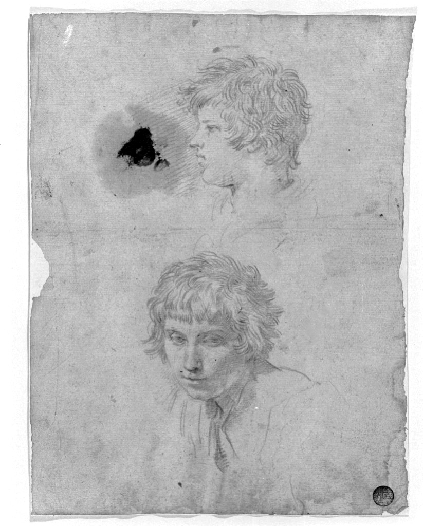 studio di parti anatomiche (disegno, opera isolata) di Cantarini Simone detto Pesarese (sec. XVII)