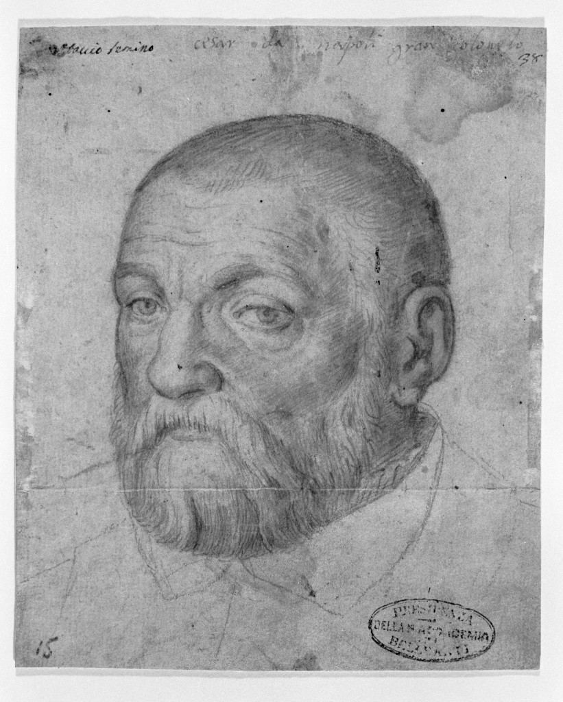 ritratto d'uomo (disegno, opera isolata) - ambito italiano (seconda metà sec. XVI)