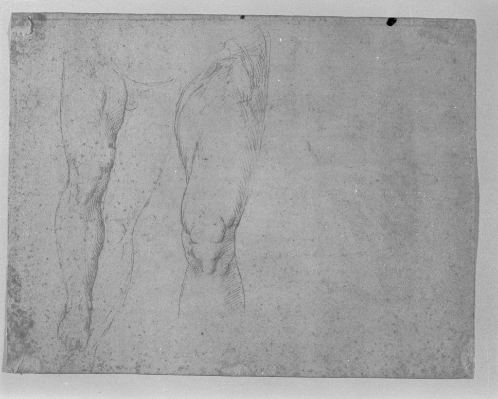 studio di parti anatomiche (disegno, opera isolata) - ambito lombardo (seconda metà sec. XVII)
