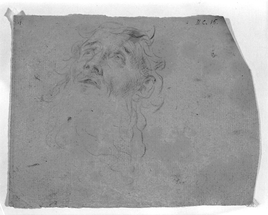 testa d'uomo con barba (disegno, opera isolata) di Pittoni Giovanni Battista (secc. XVII/ XVIII)