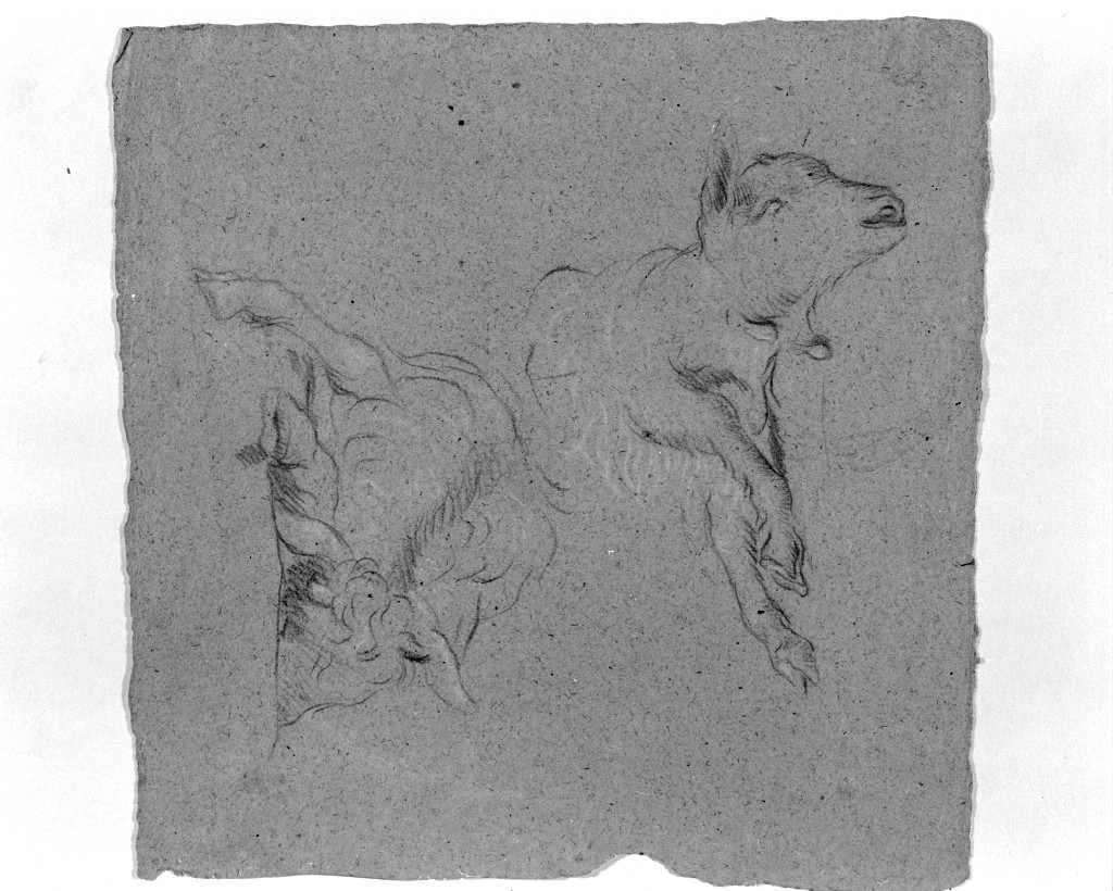 animali (disegno, opera isolata) di Pittoni Giovanni Battista (secc. XVII/ XVIII)