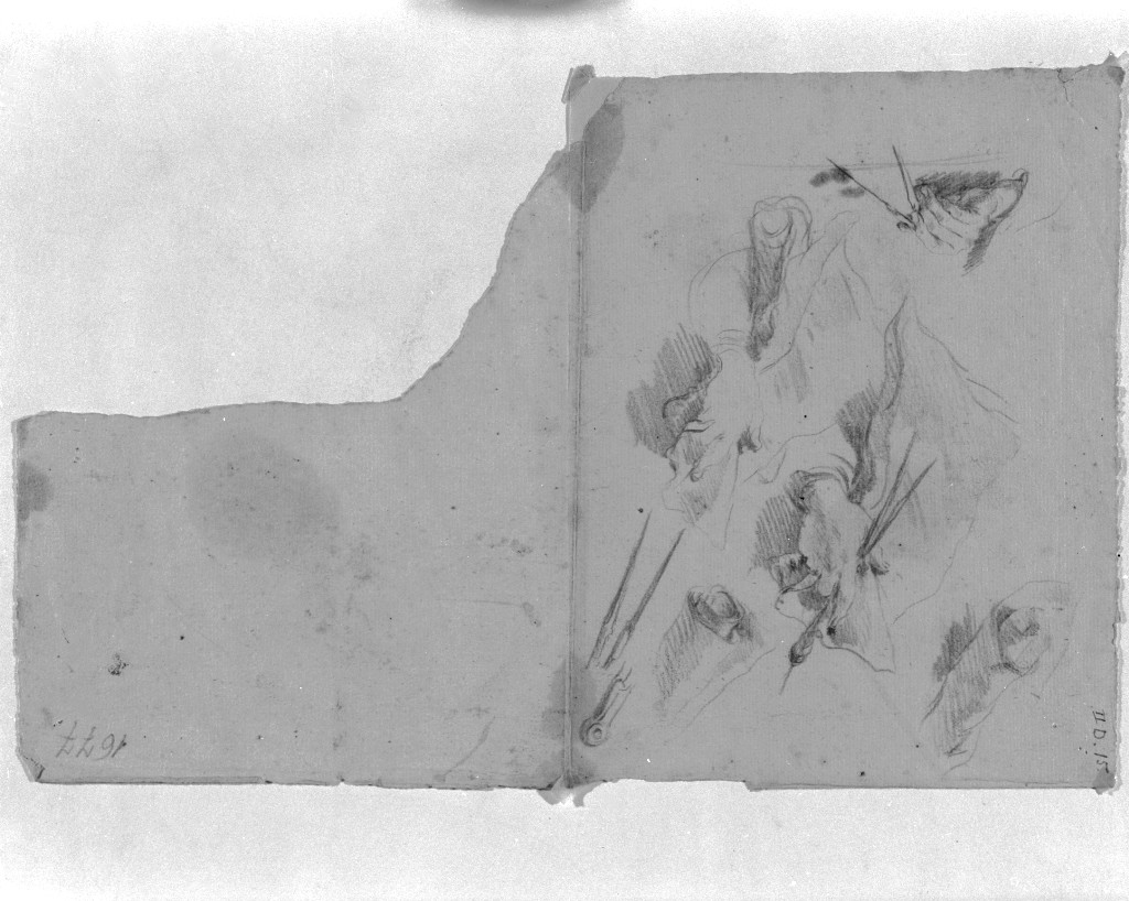 studio di parti anatomiche (disegno, elemento d'insieme) di Pittoni Giovanni Battista (secc. XVII/ XVIII)