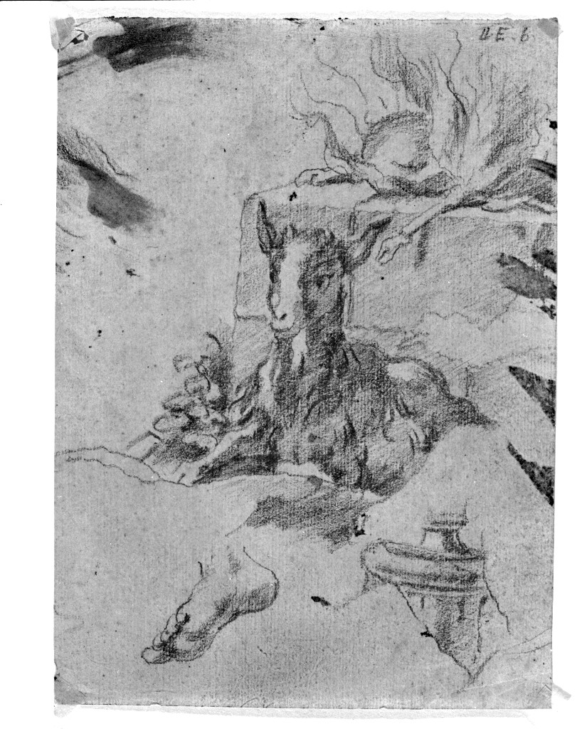 animali (disegno, opera isolata) di Pittoni Giovanni Battista (secc. XVII/ XVIII)