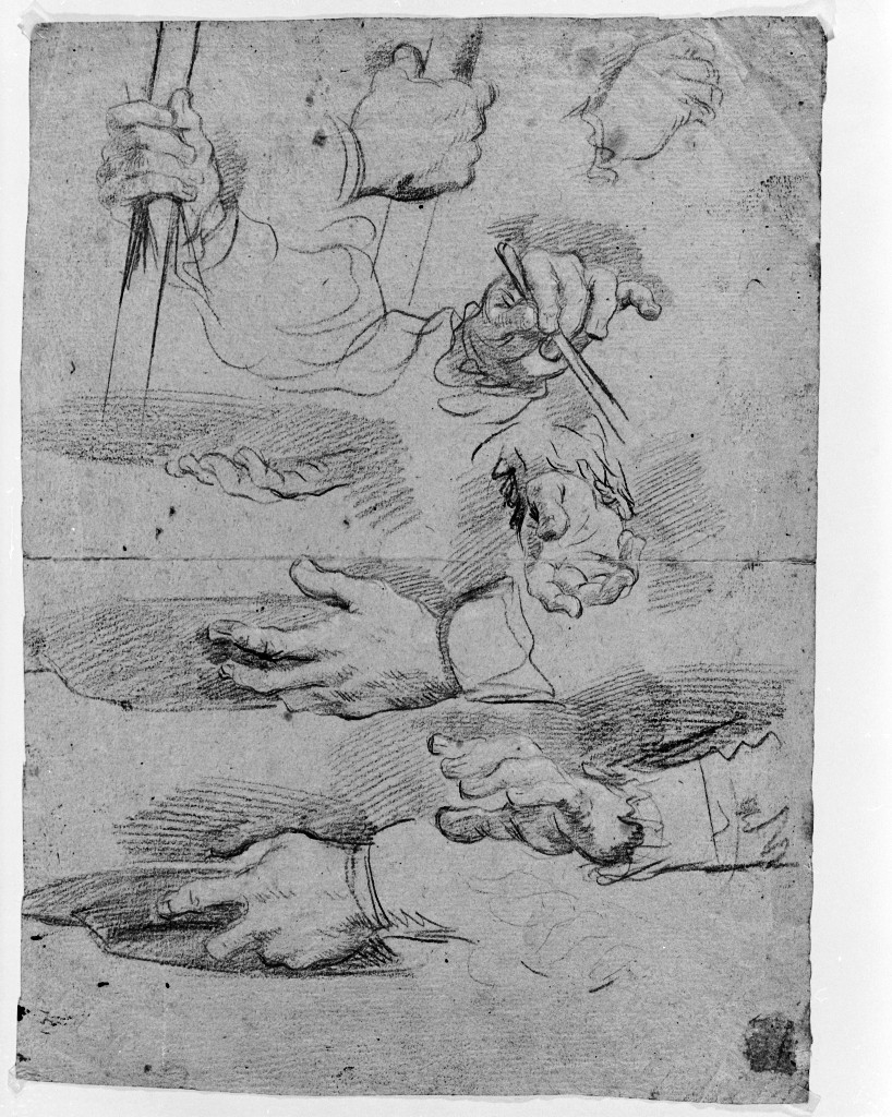 studio di parti anatomiche (disegno, elemento d'insieme) di Pittoni Giovanni Battista (secc. XVII/ XVIII)