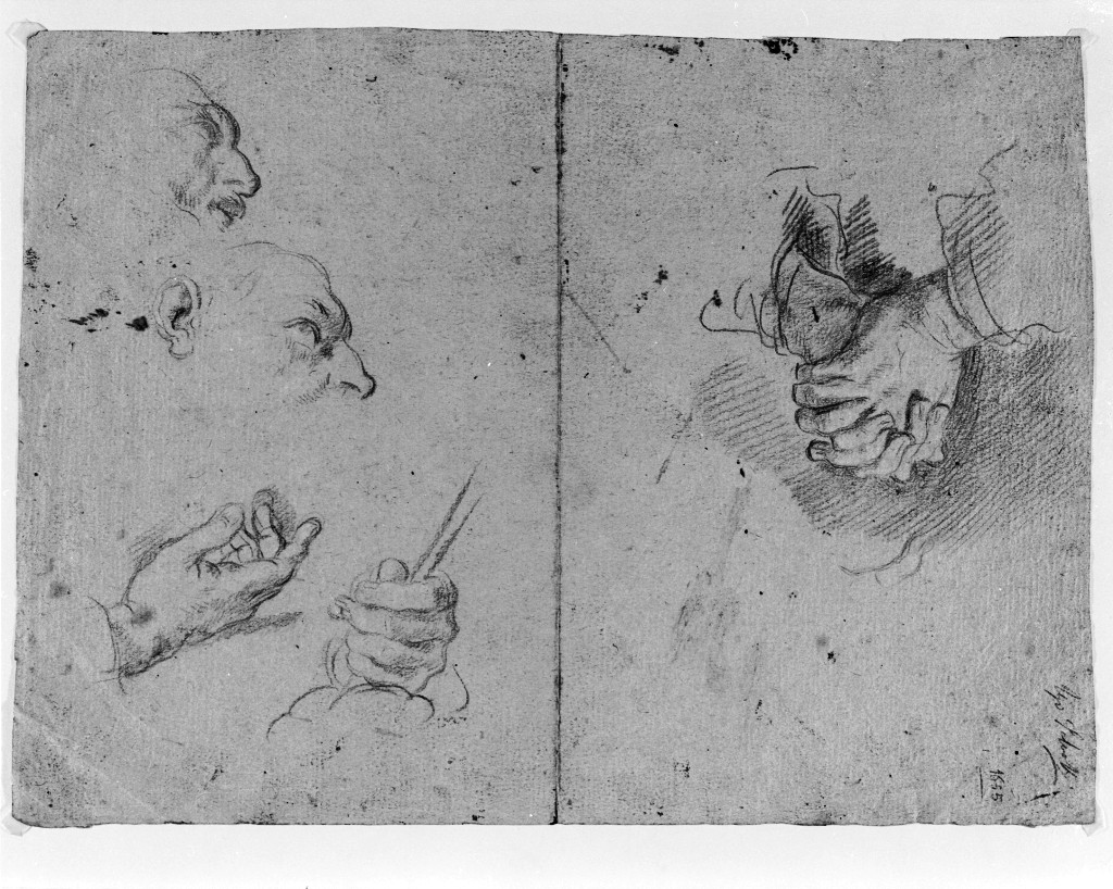 studio di parti anatomiche (disegno, elemento d'insieme) di Pittoni Giovanni Battista (secc. XVII/ XVIII)