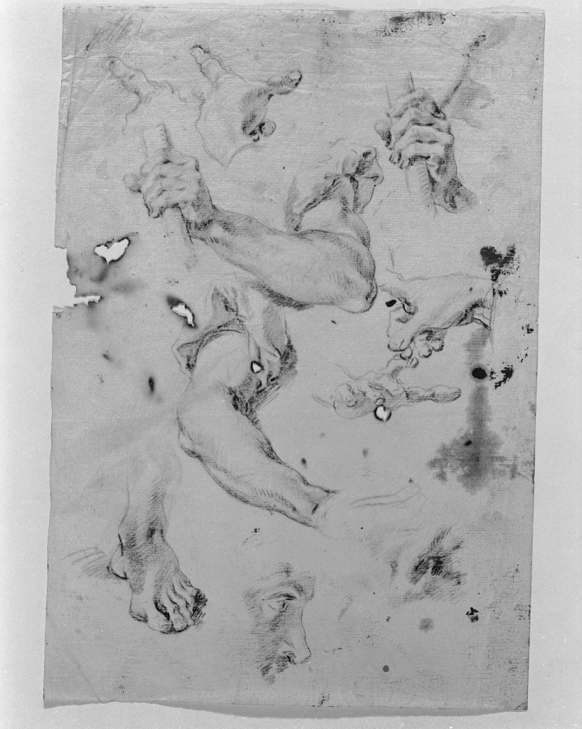 studio di parti anatomiche (disegno, elemento d'insieme) di Pittoni Giovanni Battista (secc. XVII/ XVIII)