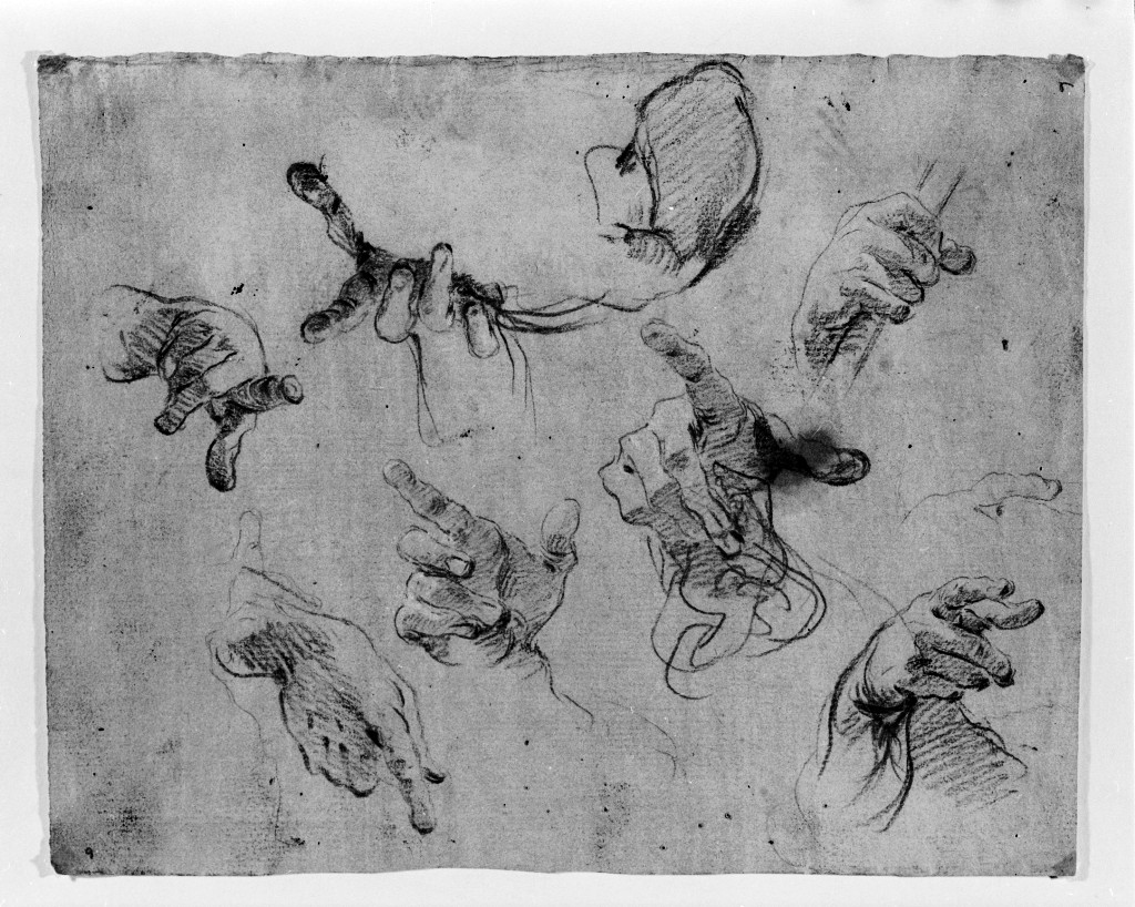 studio di parti anatomiche (disegno, opera isolata) di Pittoni Giovanni Battista (secc. XVII/ XVIII)