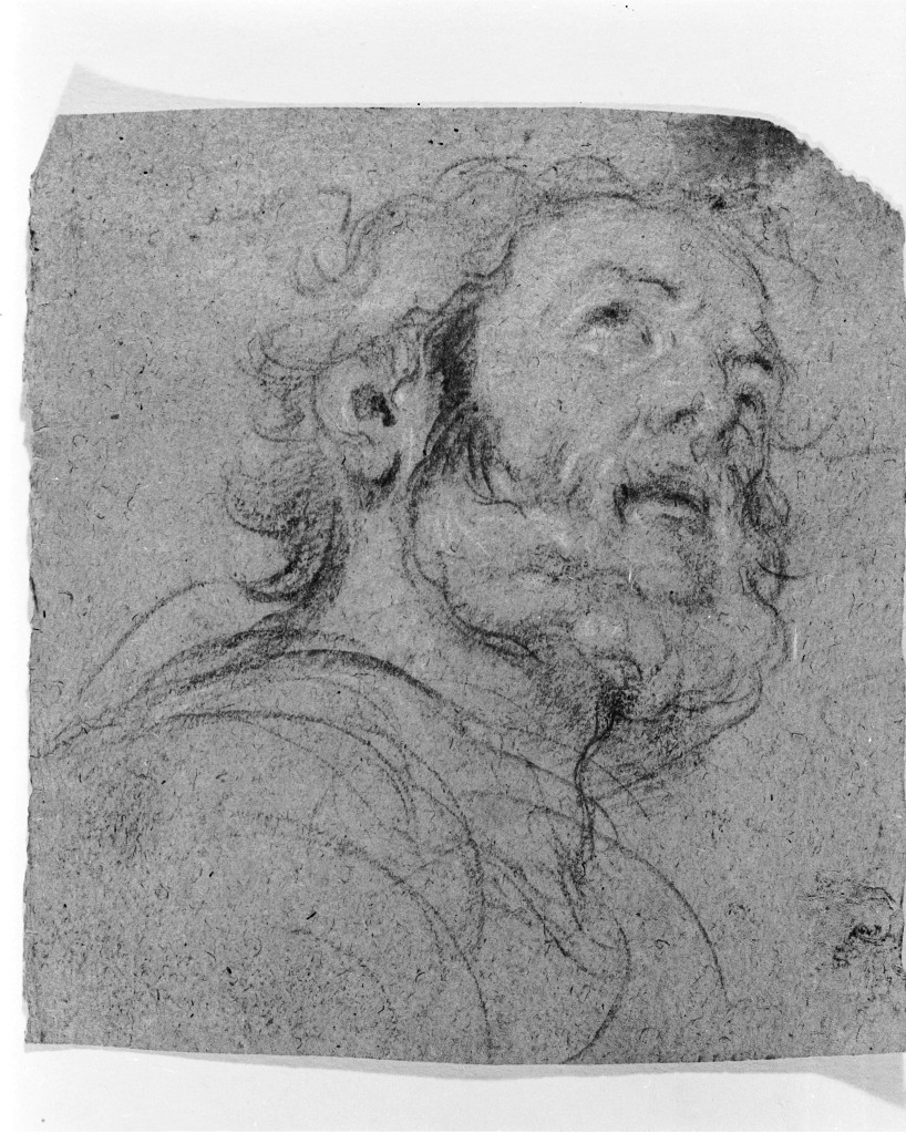 testa d'uomo con barba (disegno, opera isolata) di Pittoni Giovanni Battista (sec. XVIII)