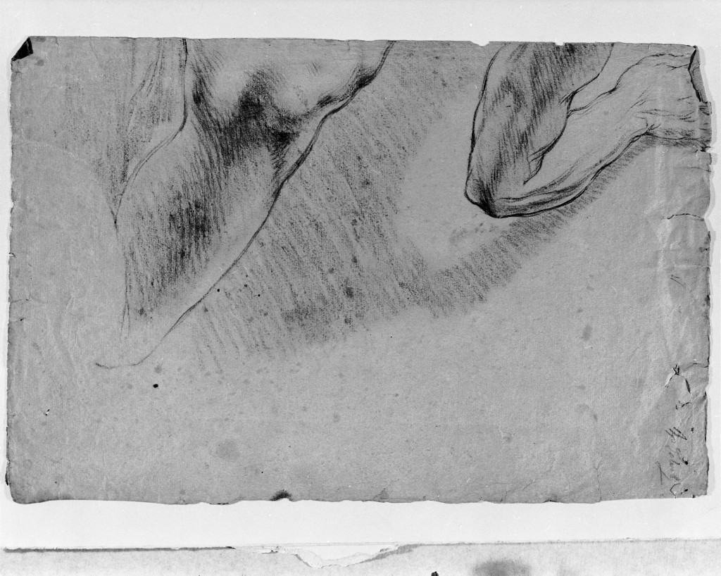 studio di parti anatomiche (disegno, elemento d'insieme) di Pittoni Giovanni Battista (attribuito) (sec. XVIII)